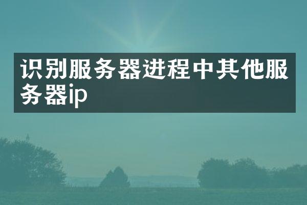 识别服务器进程中其他服务器ip