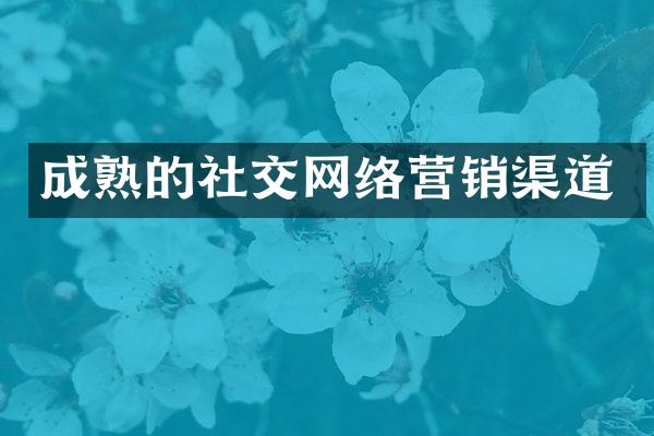 成熟的社交网络营销渠道