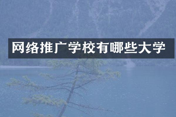 网络推广学校有哪些大学