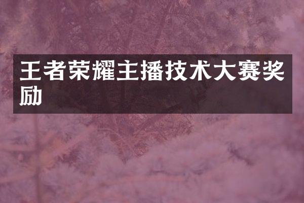 王者荣耀主播技术大赛奖励