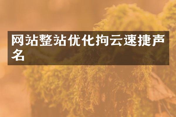网站整站优化拘云速捷声名