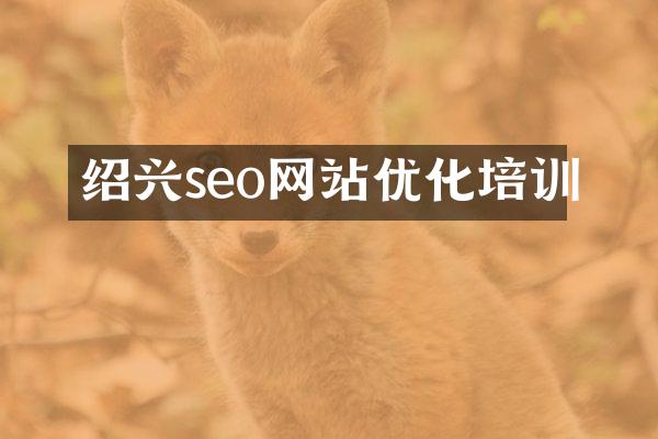 绍兴seo网站优化培训
