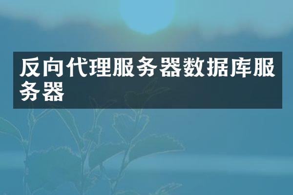 反向代理服务器数据库服务器