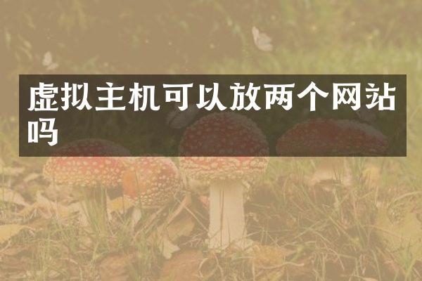 虚拟主机可以放两个网站吗