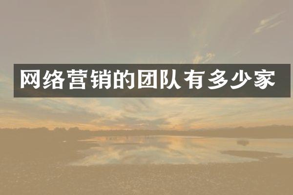 网络营销的团队有多少家
