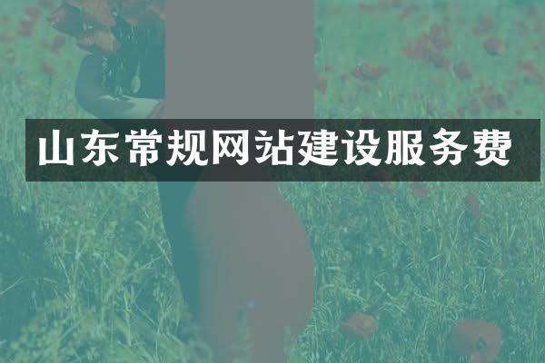山东常规网站建设服务费