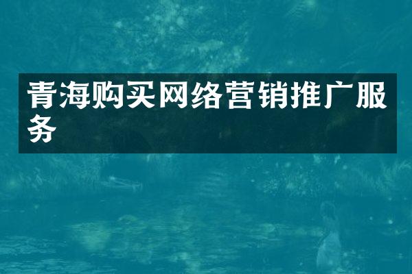 青海购买网络营销推广服务