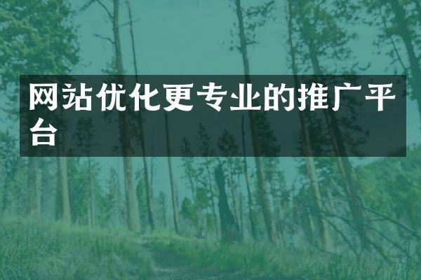 网站优化更专业的推广平台