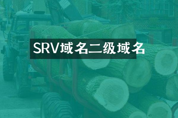 SRV域名二级域名