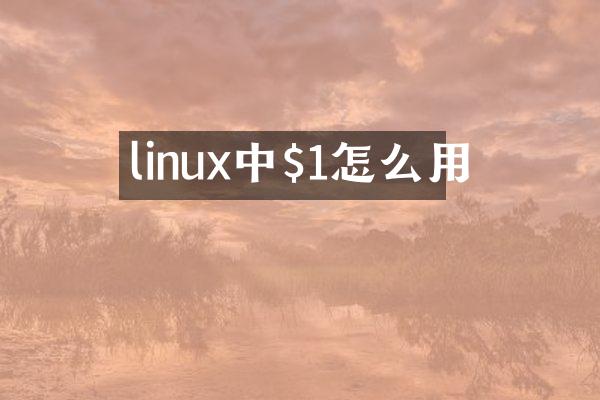 linux中$1怎么用