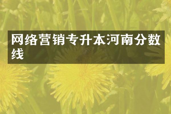 网络营销专升本河南分数线