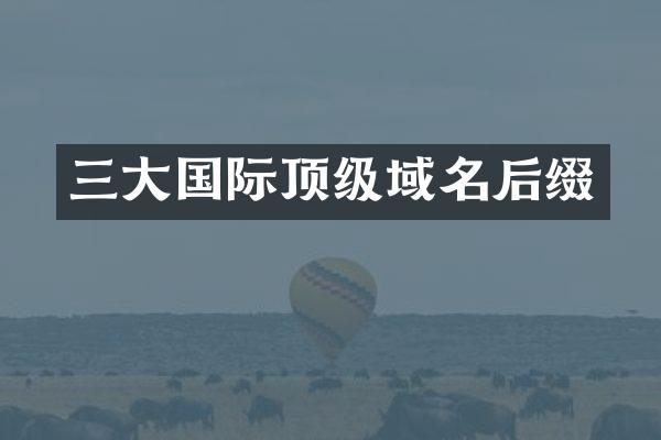 三大国际顶级域名后缀