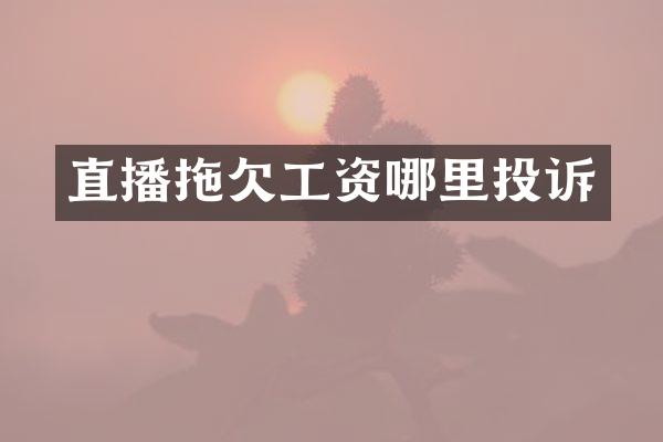 直播拖欠工资哪里投诉