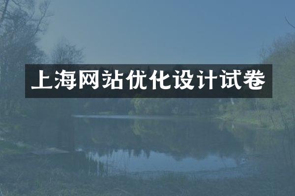 上海网站优化设计试卷