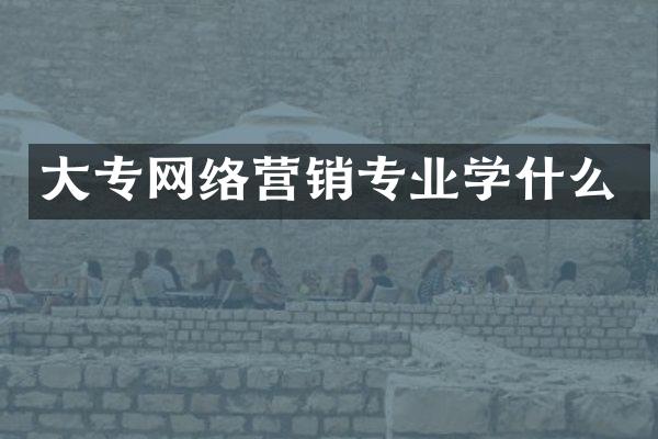 大专网络营销专业学什么