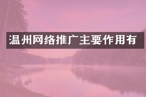 温州网络推广主要作用有