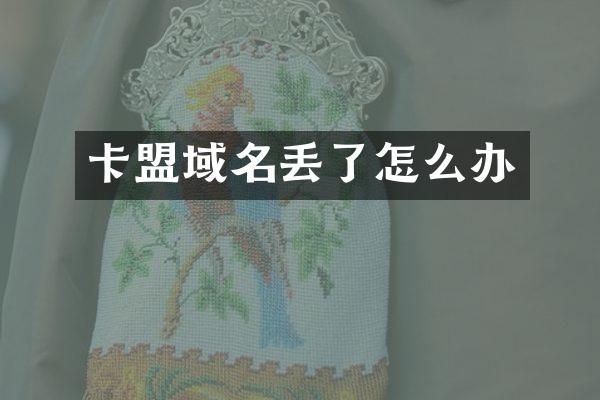 卡盟域名丢了怎么办