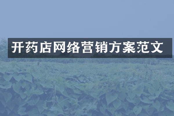 开药店网络营销方案范文
