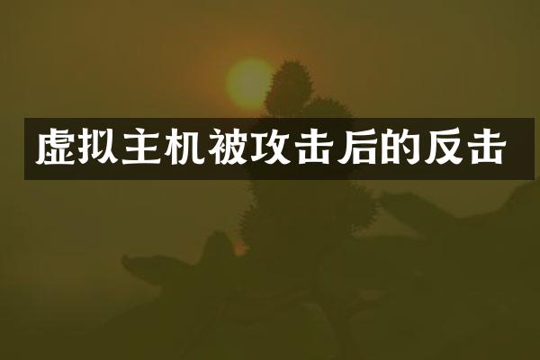 虚拟主机被攻击后的反击