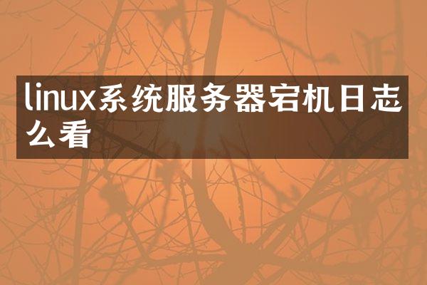 linux系统服务器宕机日志怎么看