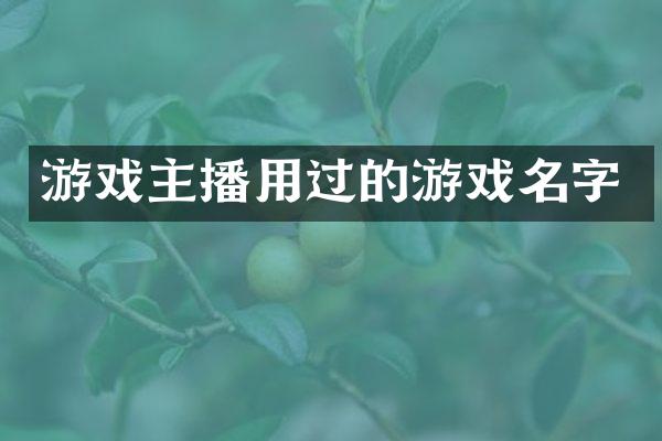 游戏主播用过的游戏名字