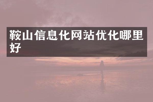 鞍山信息化网站优化哪里好