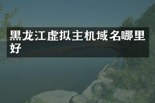 黑龙江虚拟主机域名哪里好