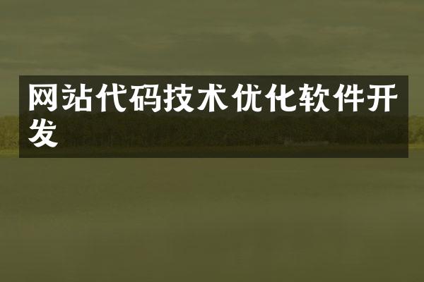网站代码技术优化软件开发
