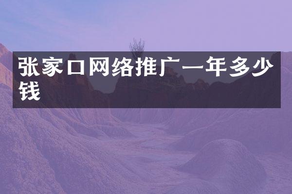 张家口网络推广一年多少钱