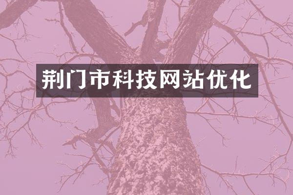 荆门市科技网站优化