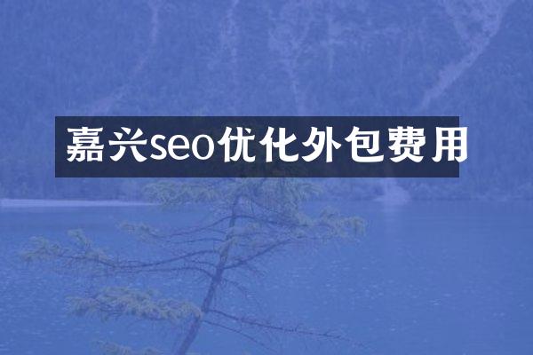 嘉兴seo优化外包费用