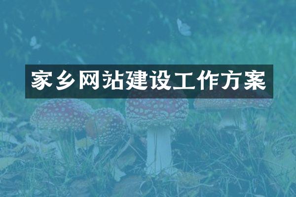 家乡网站建设工作方案
