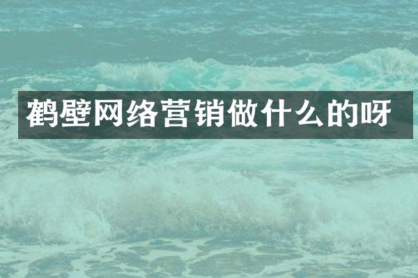 鹤壁网络营销做什么的呀
