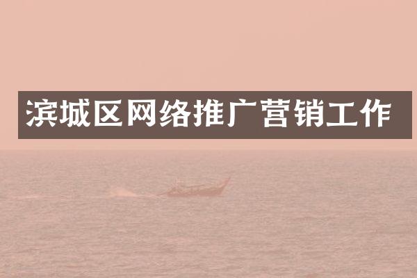 滨城区网络推广营销工作