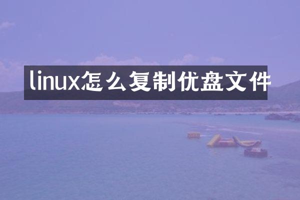 linux怎么复制优盘文件