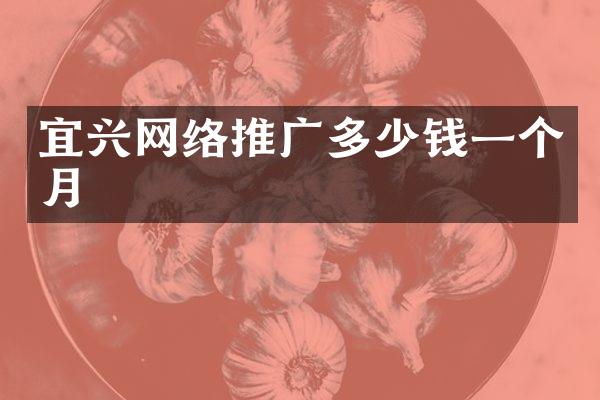 宜兴网络推广多少钱一个月