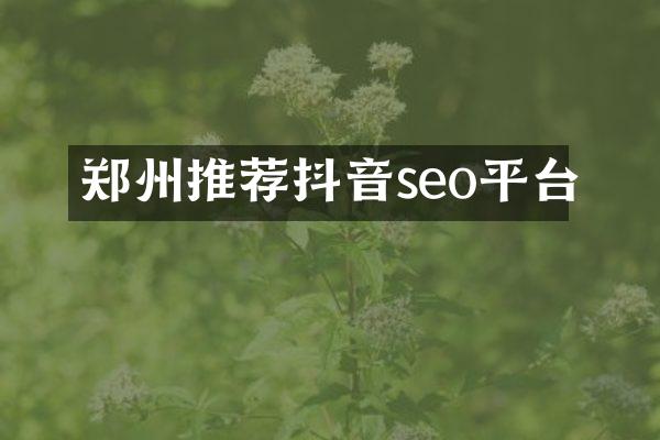 郑州推荐抖音seo平台
