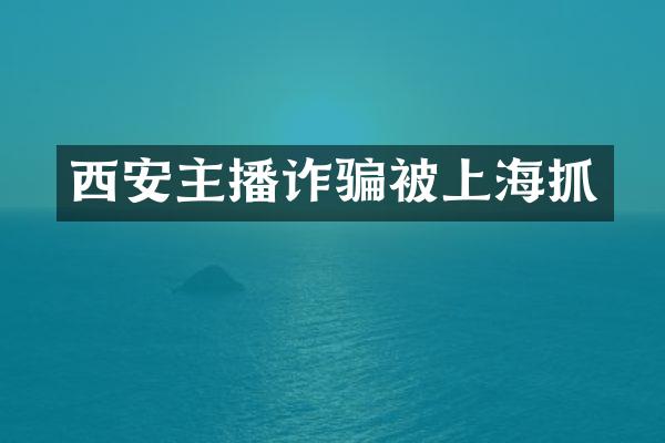 西安主播诈骗被上海抓