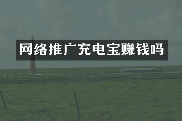 网络推广充电宝赚钱吗
