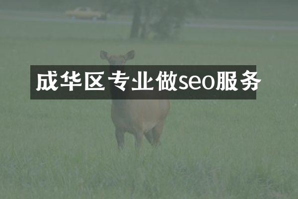 成华区专业做seo服务