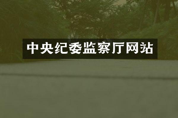 中央纪委监察厅网站