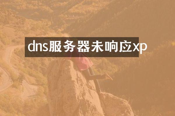 dns服务器未响应xp