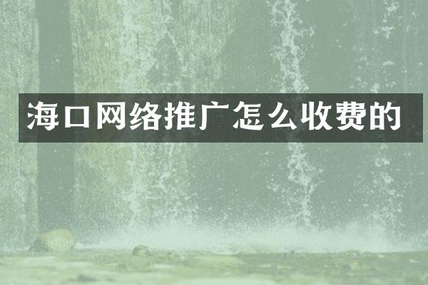 海口网络推广怎么收费的
