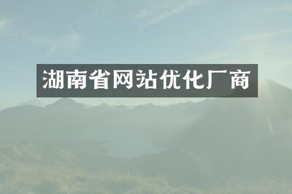 湖南省网站优化厂商