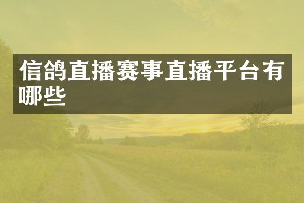 信鸽直播赛事直播平台有哪些