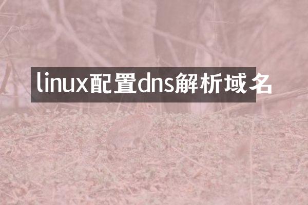 linux配置dns解析域名