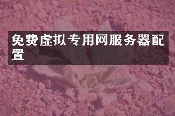 免费虚拟专用网服务器配置