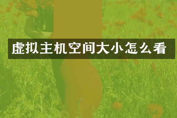 虚拟主机空间大小怎么看
