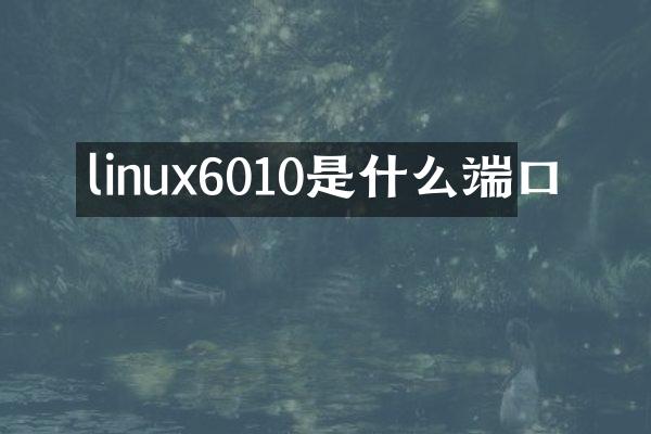 linux6010是什么端口