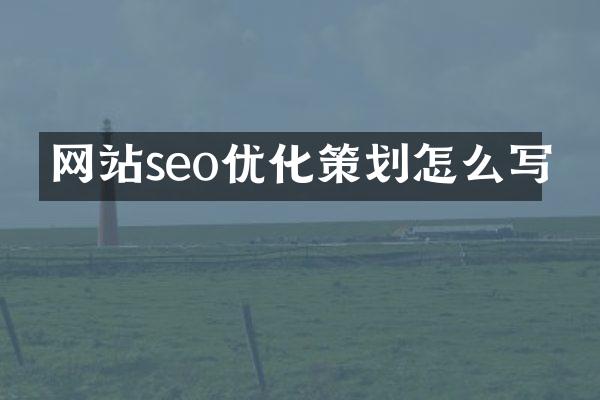 网站seo优化策划怎么写
